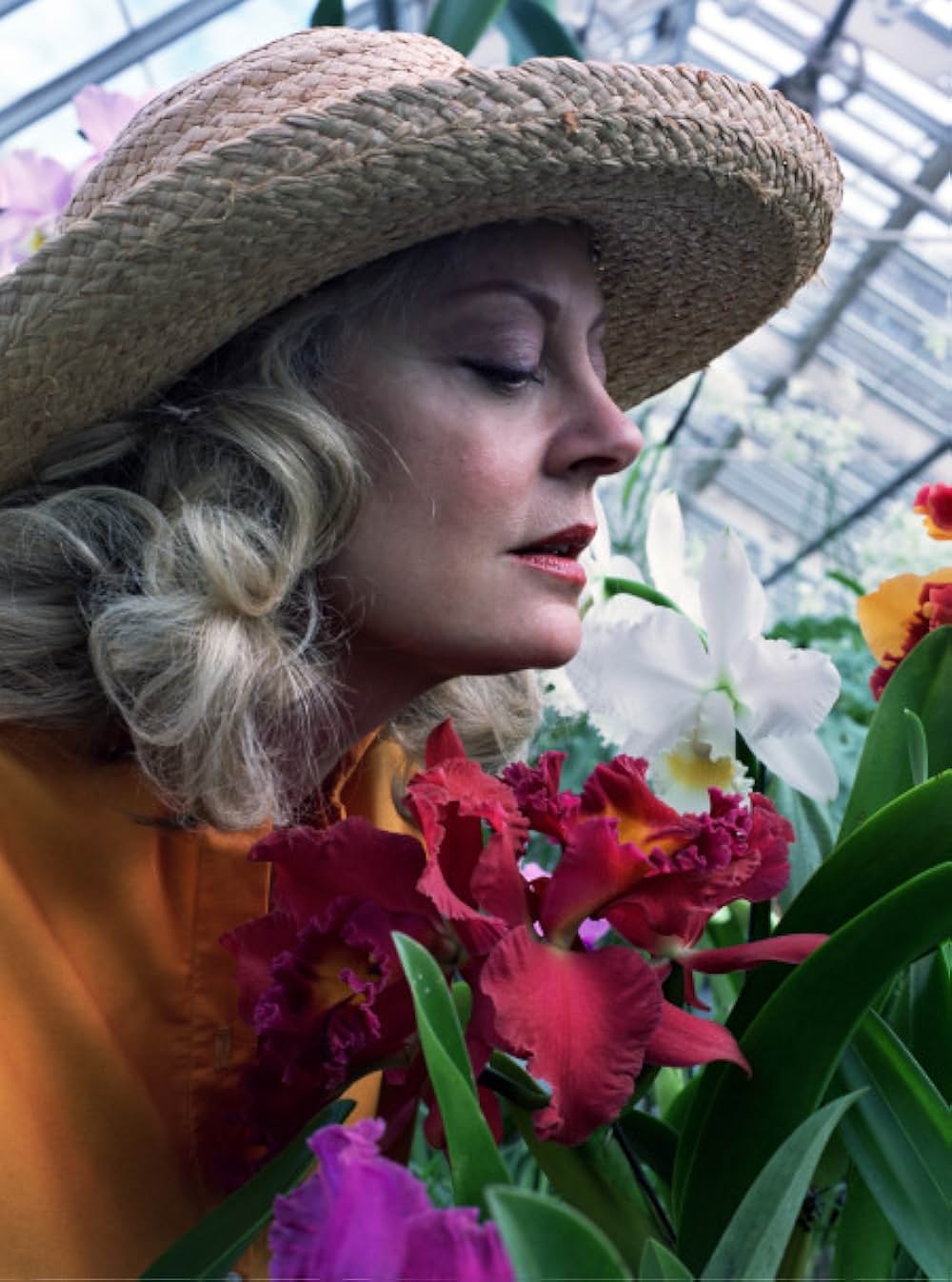 バーナード・アンド・ドリスの画像