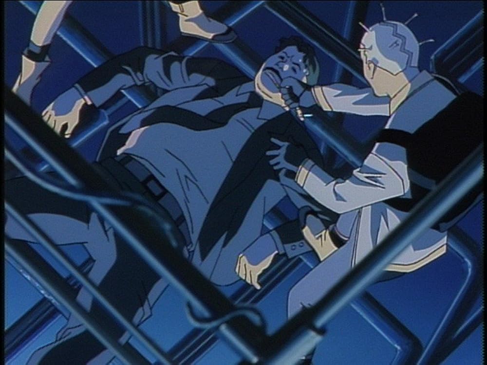 メゾフォルテの画像