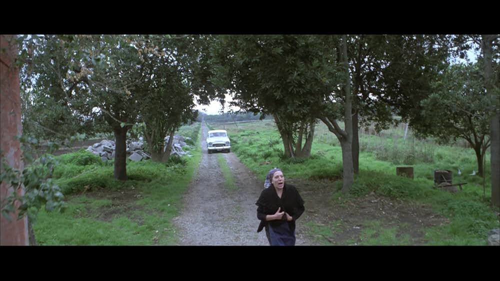 青い体験の画像