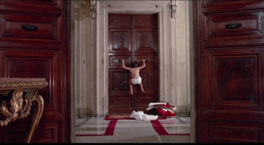 建築家の腹の画像