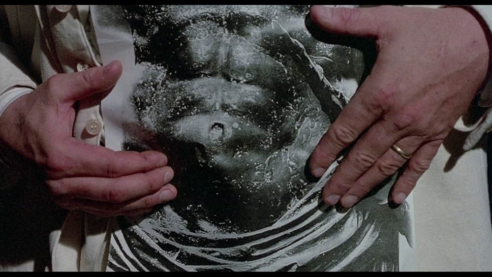 建築家の腹の画像