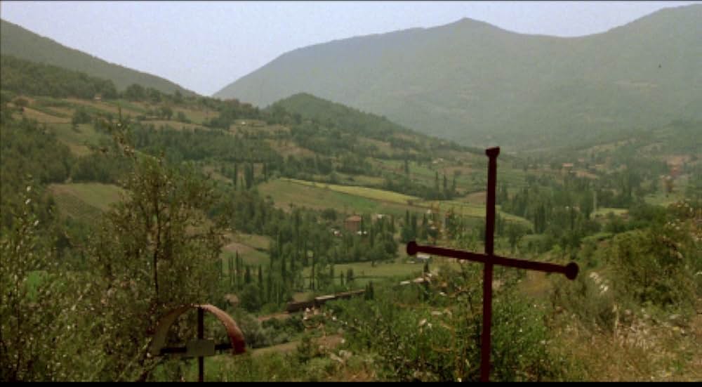 建築家の腹の画像