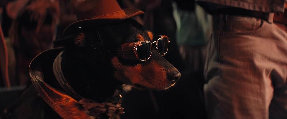 フォールガイの画像