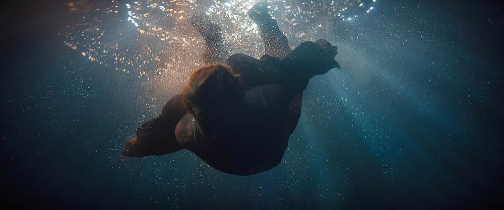 フォールガイの画像