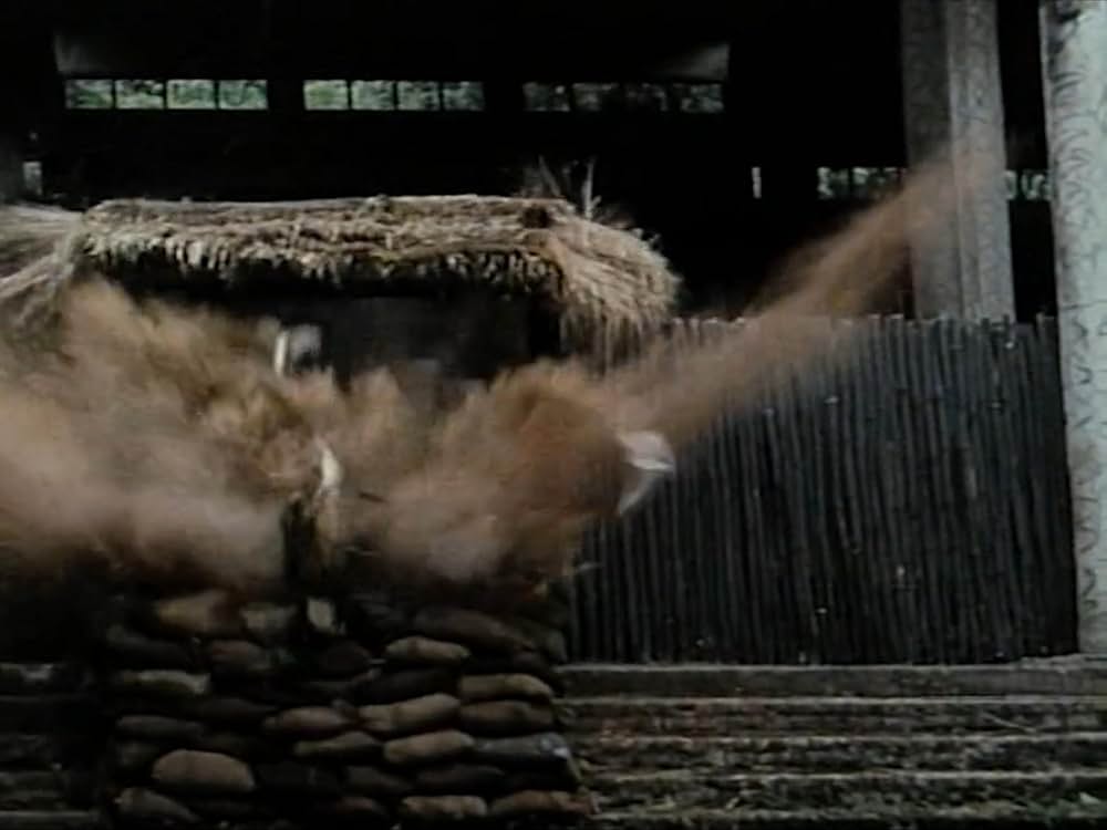 ロボハンター／霊幻暗黒団大戦争の画像