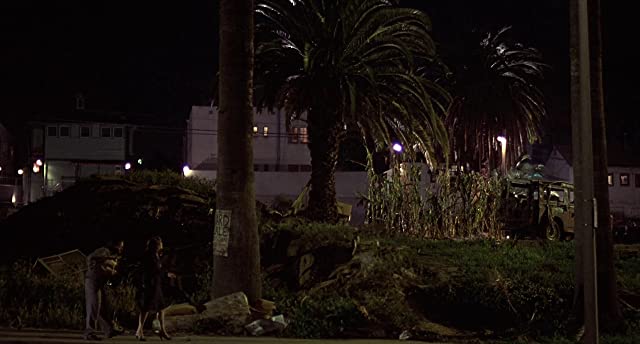 バーフライの画像