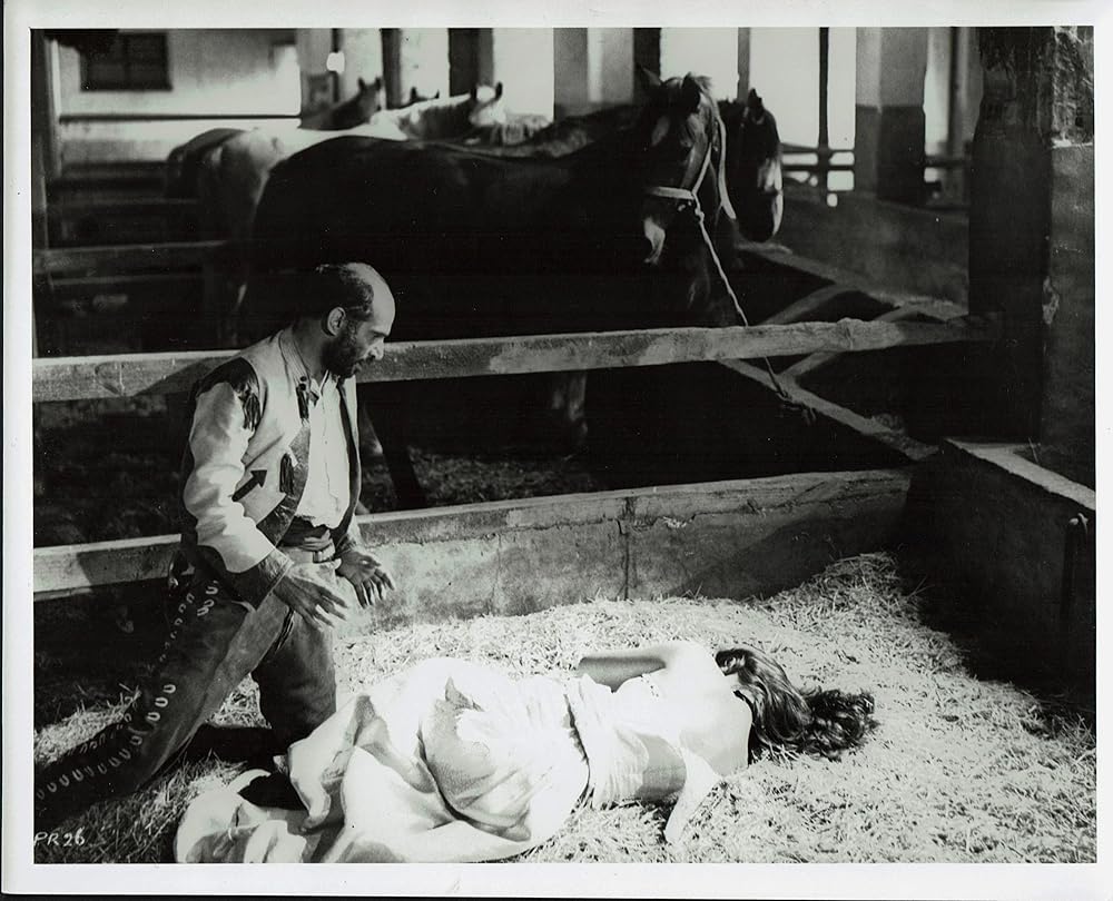 夕陽の用心棒の画像