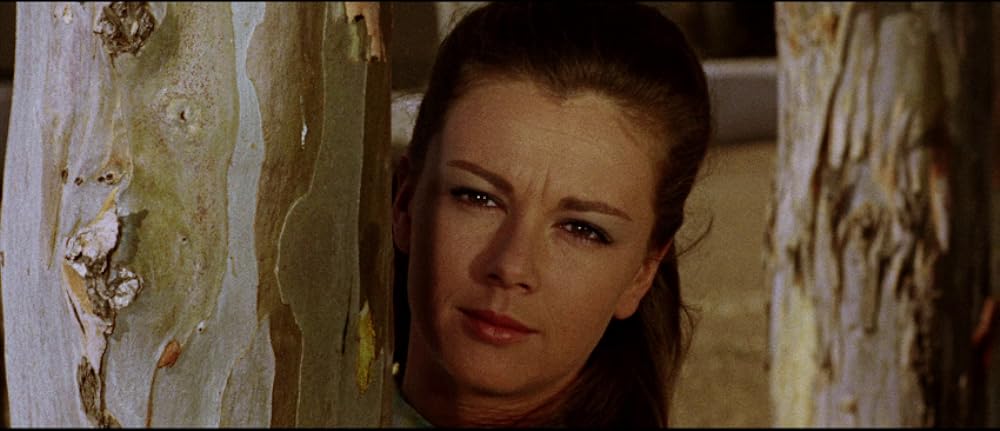 夕陽の用心棒の画像