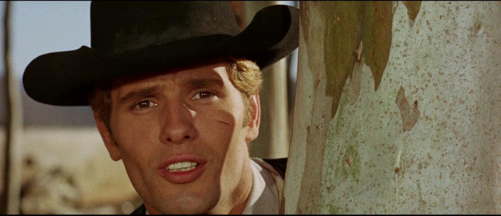 夕陽の用心棒の画像