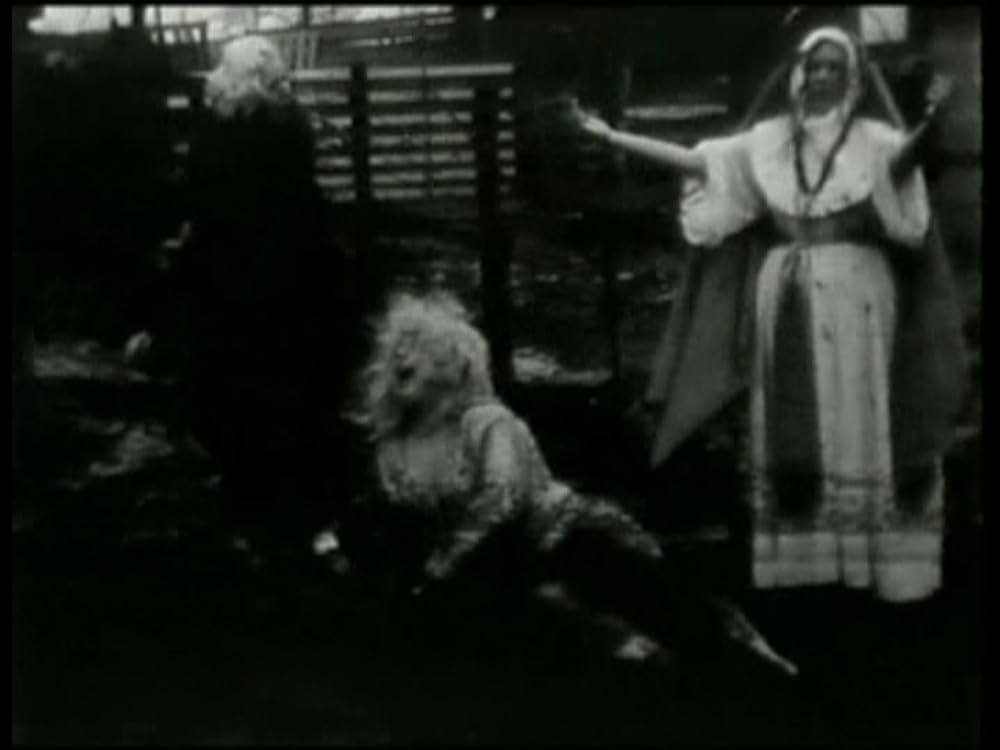 モンド・トラッショの画像