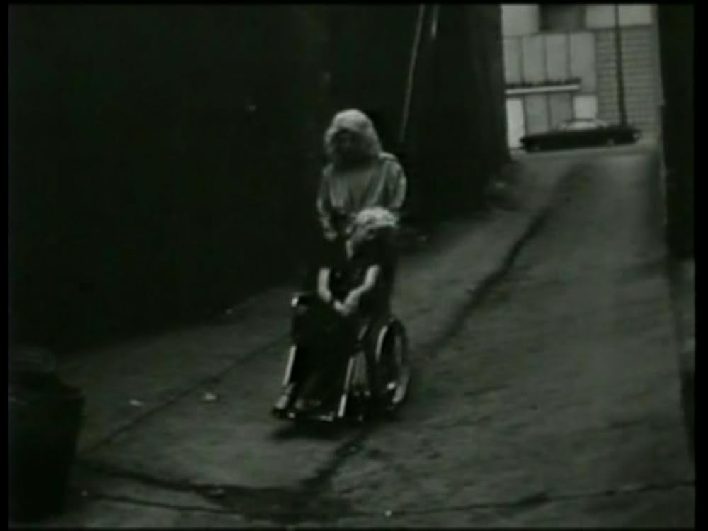 モンド・トラッショの画像