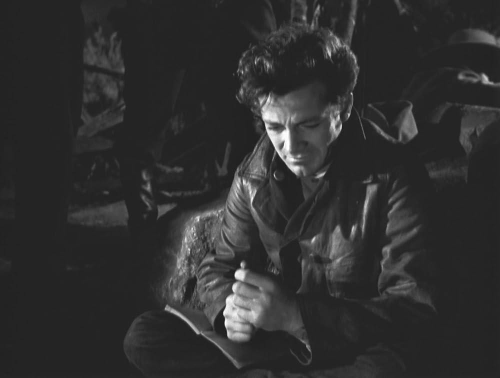 「牛泥棒」ダナ・アンドリュースの画像