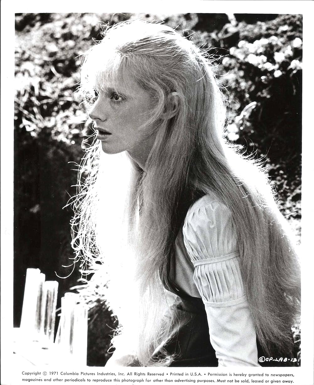 恐怖の影の画像