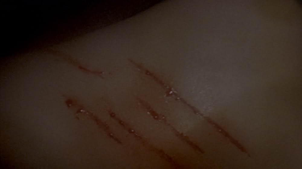 恐怖の影の画像