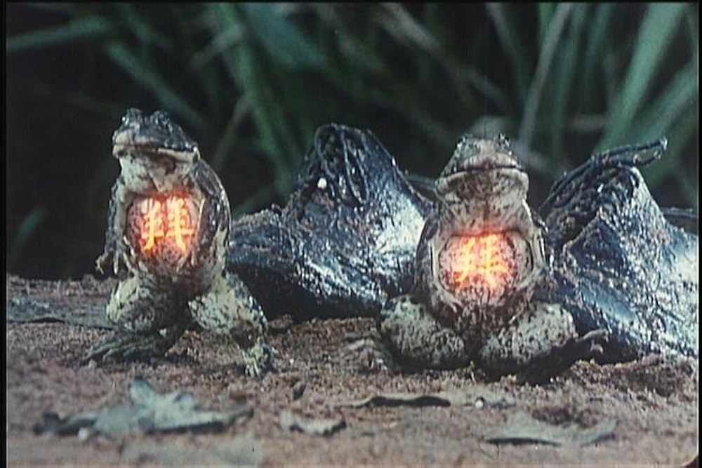 霊幻道士5／ベビーキョンシー対空飛ぶドラキュラ！の画像