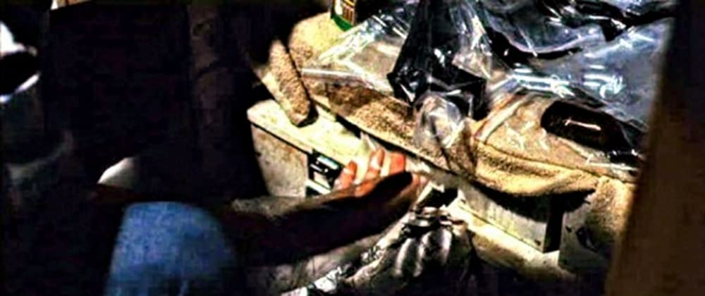 ワイルド・バレットの画像