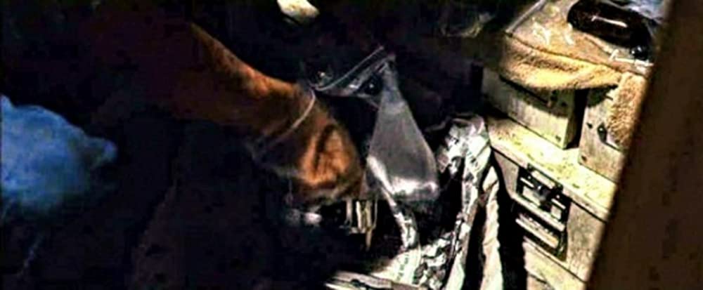 ワイルド・バレットの画像