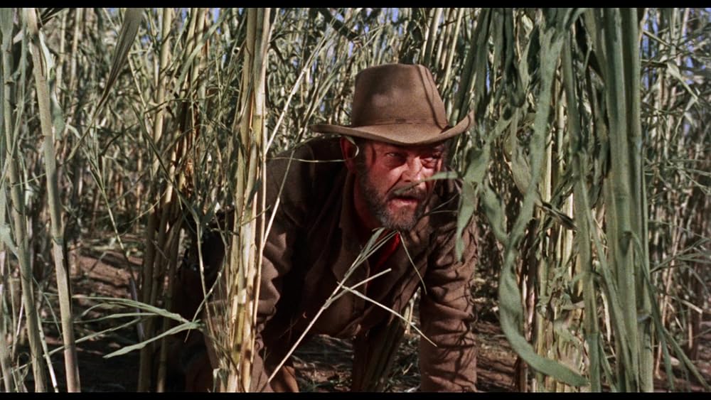 「アパッチ」ジョン・マッキンタイアの画像