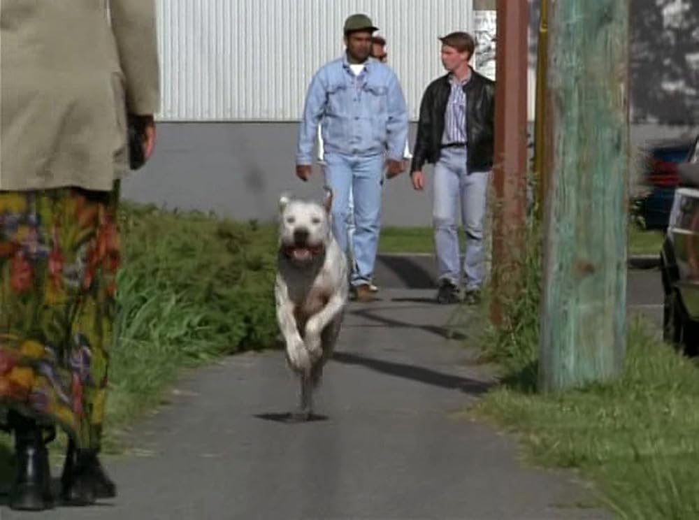 奇跡の旅2／サンフランシスコの大冒険の画像