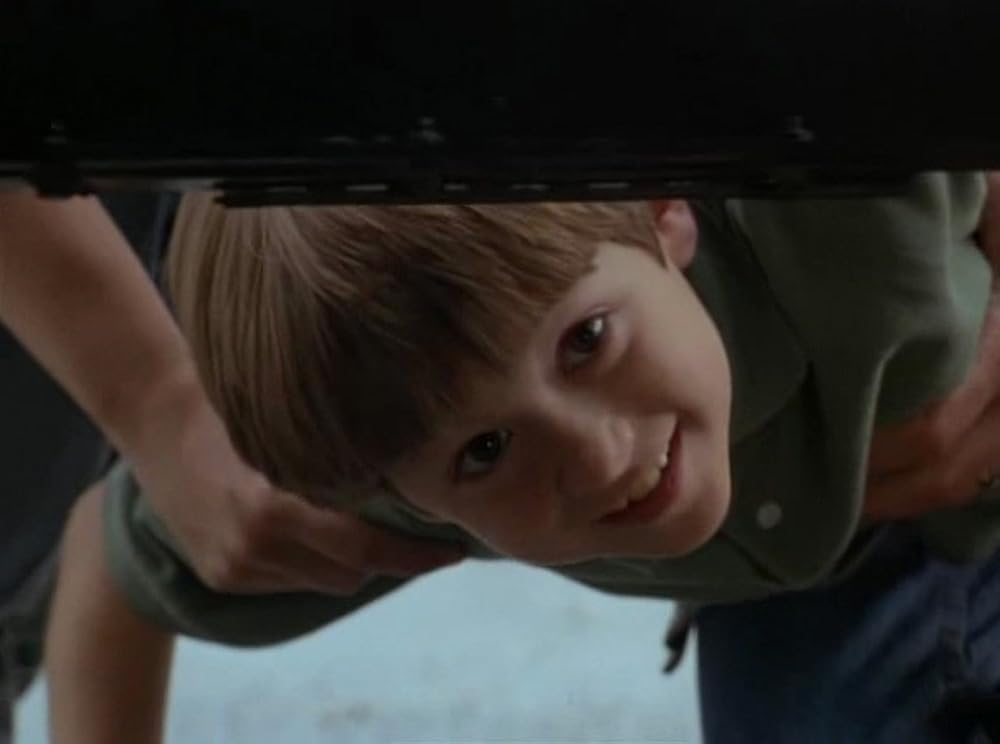 奇跡の旅2／サンフランシスコの大冒険の画像