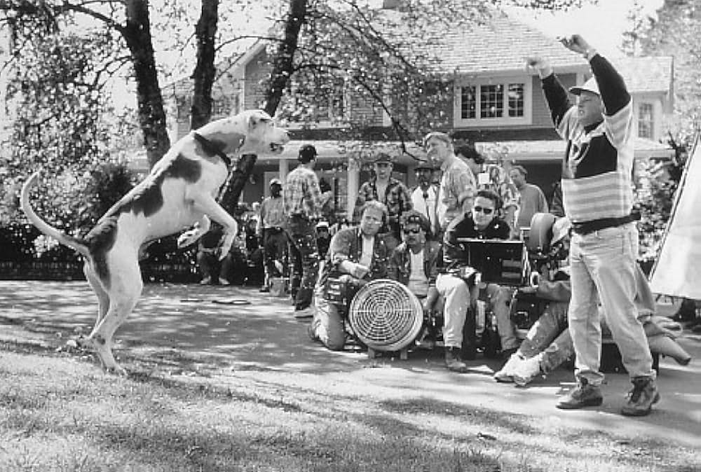奇跡の旅2／サンフランシスコの大冒険の画像