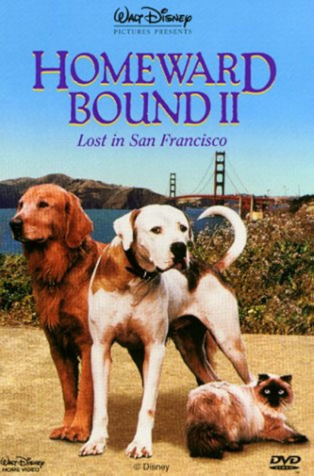 奇跡の旅2／サンフランシスコの大冒険の画像