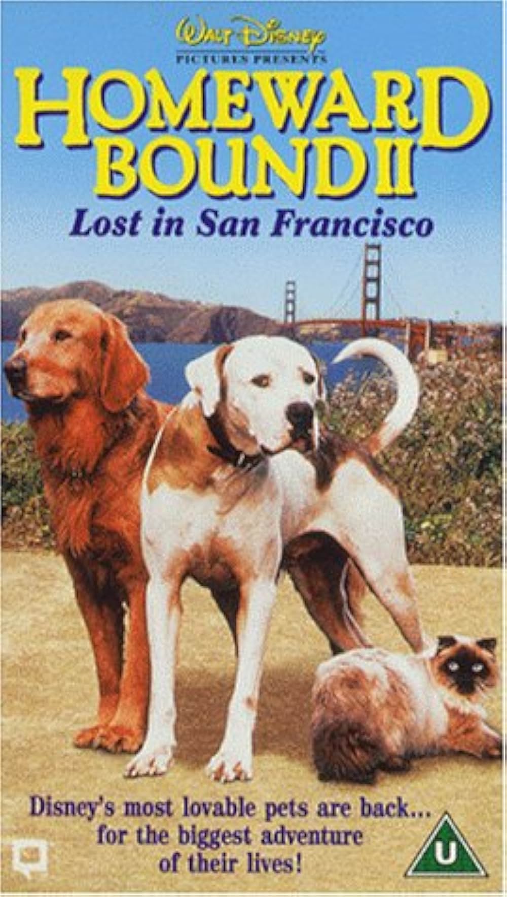 奇跡の旅2／サンフランシスコの大冒険の画像