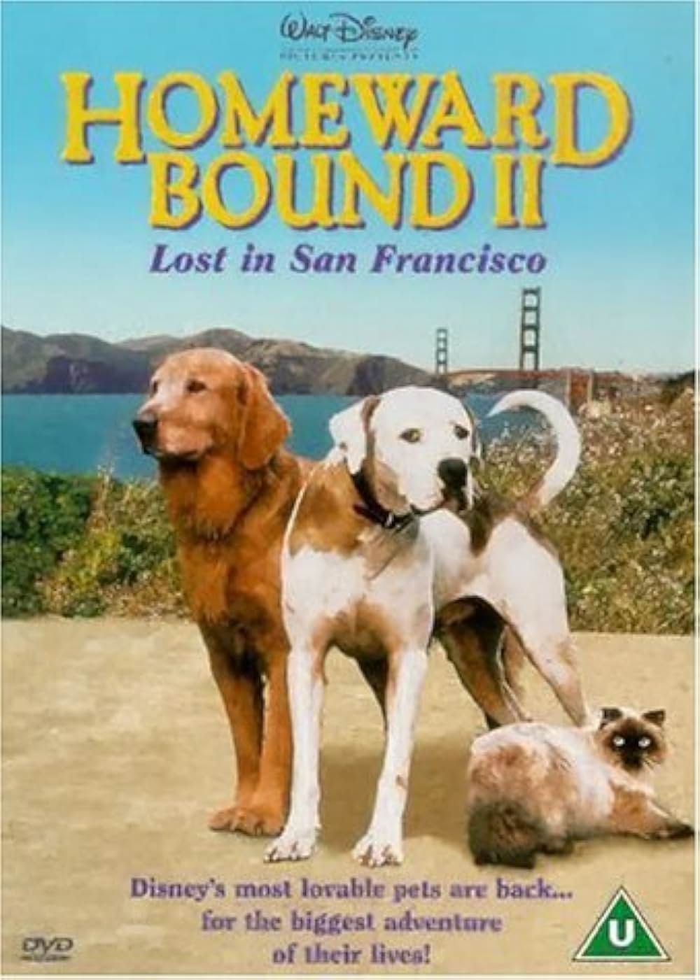 奇跡の旅2／サンフランシスコの大冒険の画像