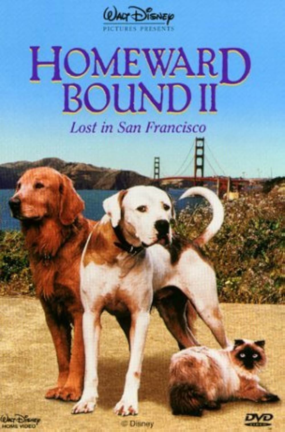 奇跡の旅2／サンフランシスコの大冒険の画像