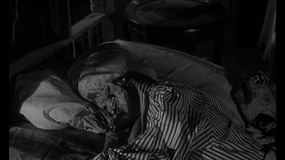 スパイダー・ベイビーの画像