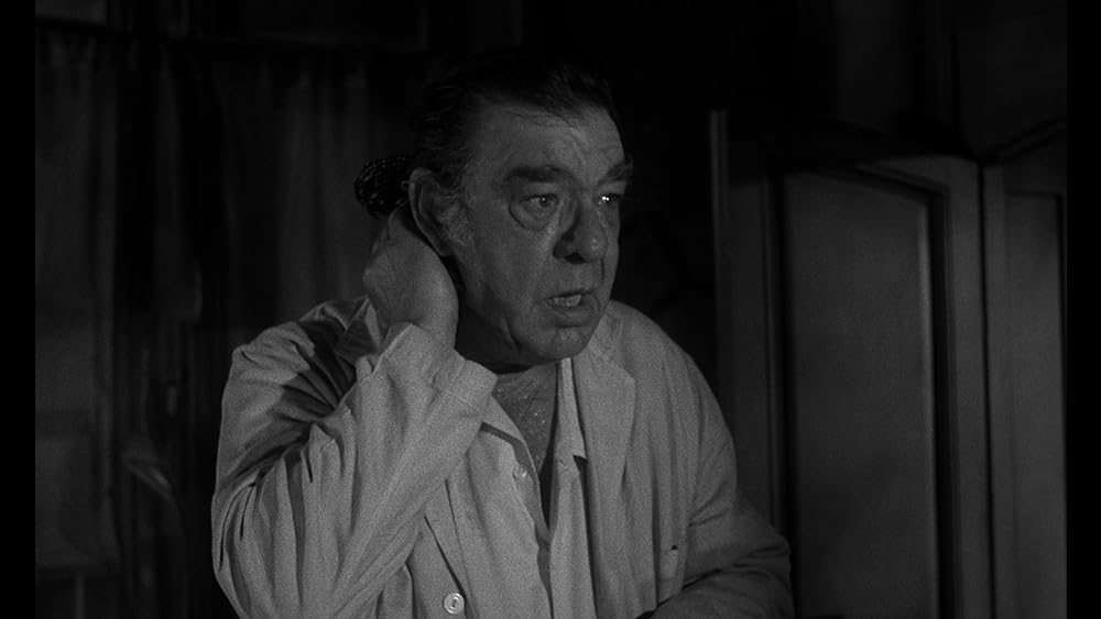 スパイダー・ベイビーの画像