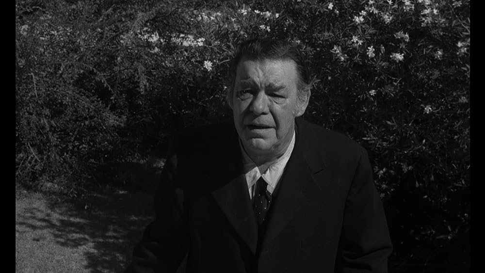 スパイダー・ベイビーの画像