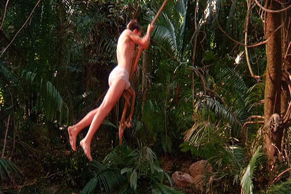 モスキート・コーストの画像