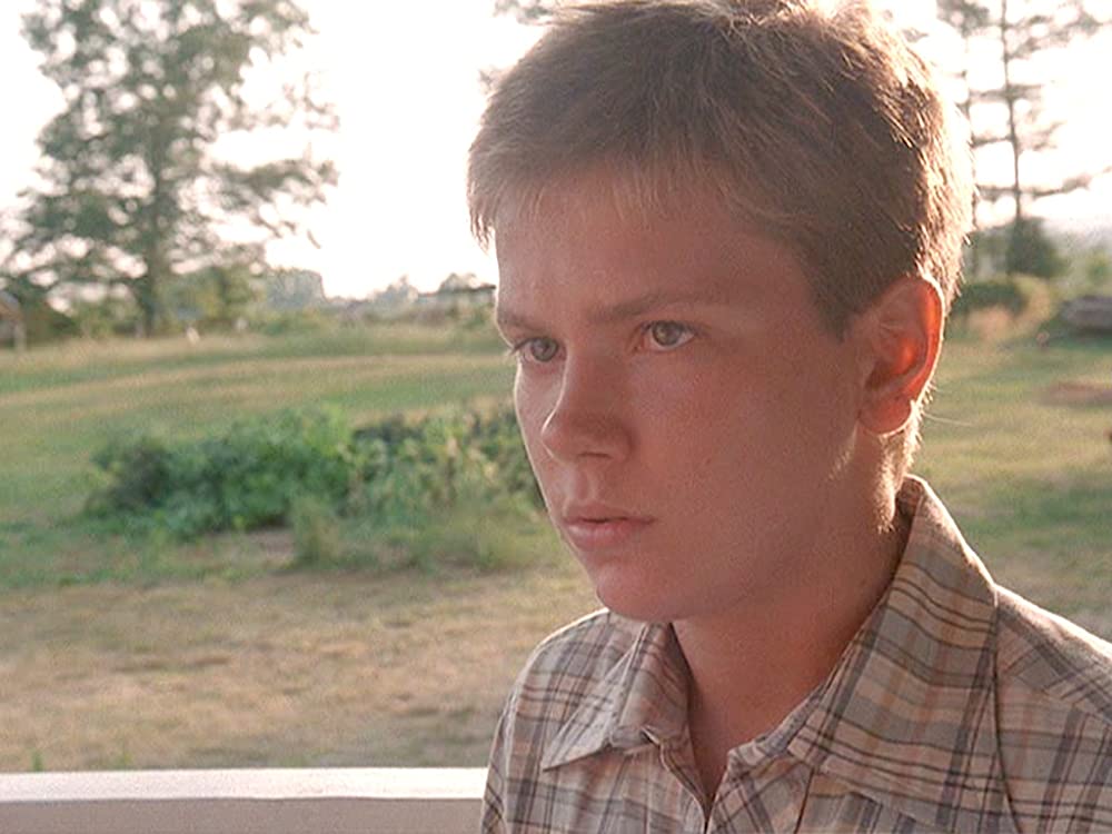 モスキート・コースト 解説・レビュー・評価 映画ポップコーン