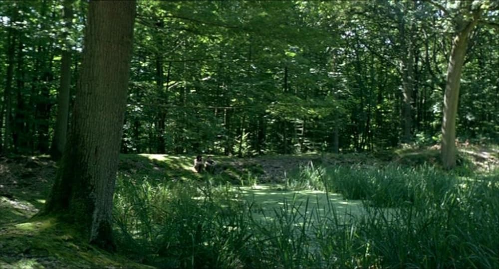 戦争についての画像