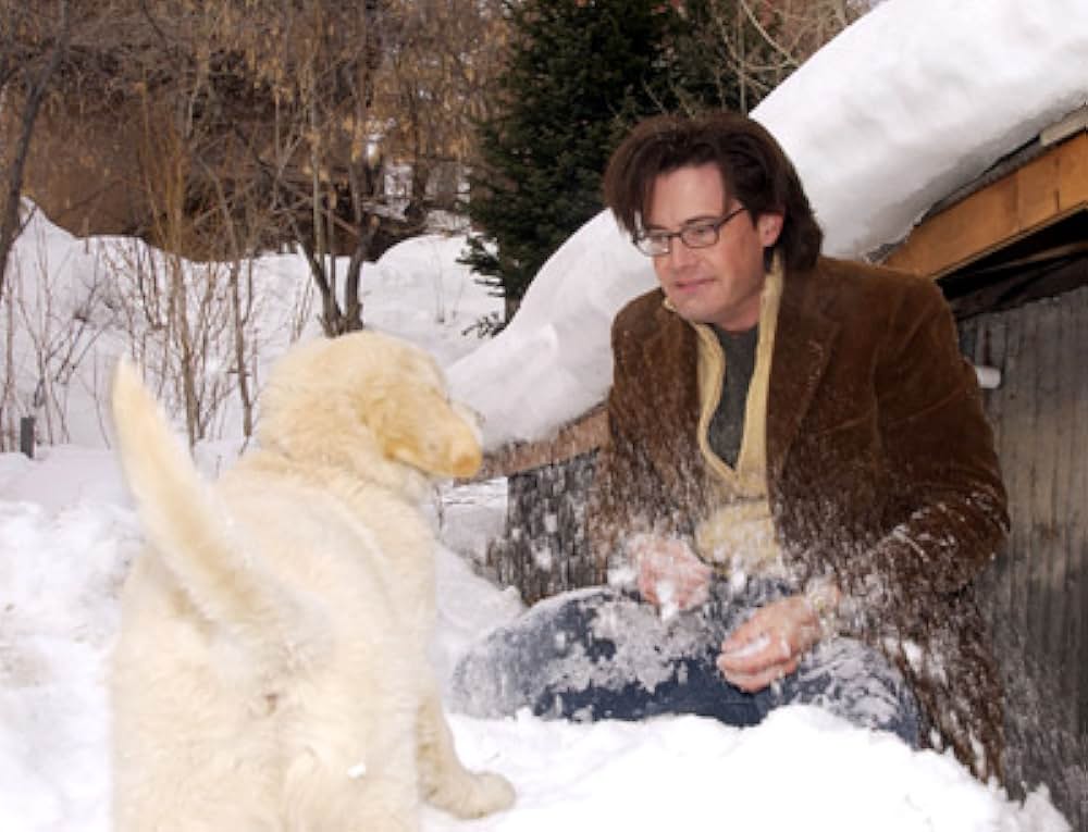 ミランダの画像