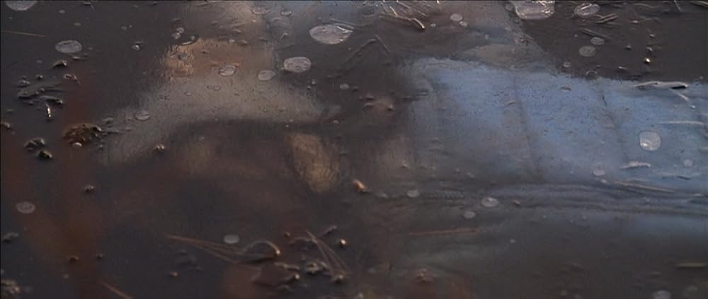 スノー・エンジェルの画像