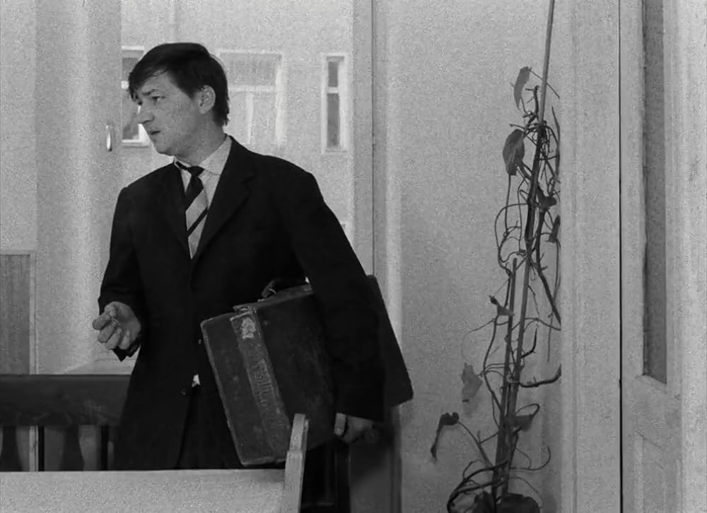 出稼ぎ野郎の画像