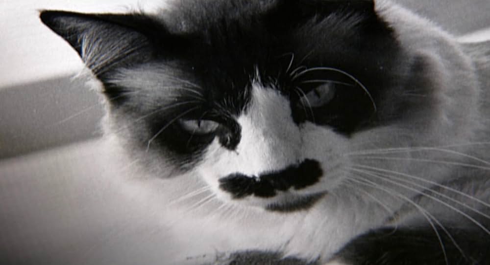 インサイド・ディープ・スロートの画像