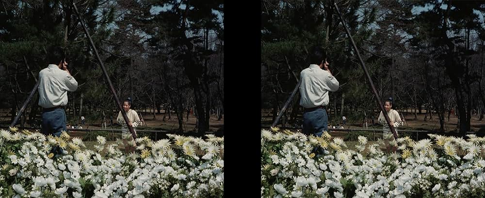 スーパー戦隊ワールドの画像