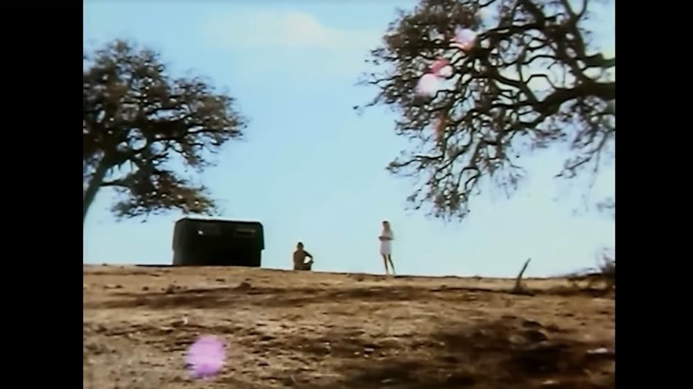 シスター・オブ・デッドの画像