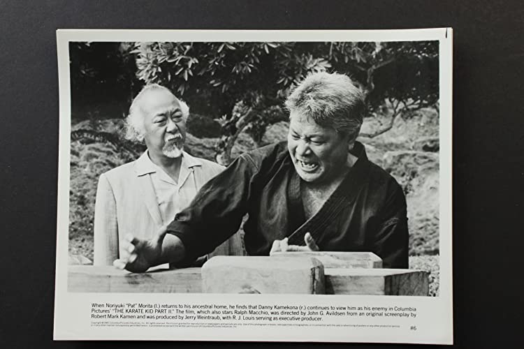 ベスト・キッド2の画像