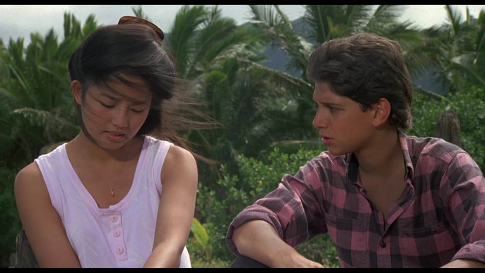 ベスト・キッド2の画像