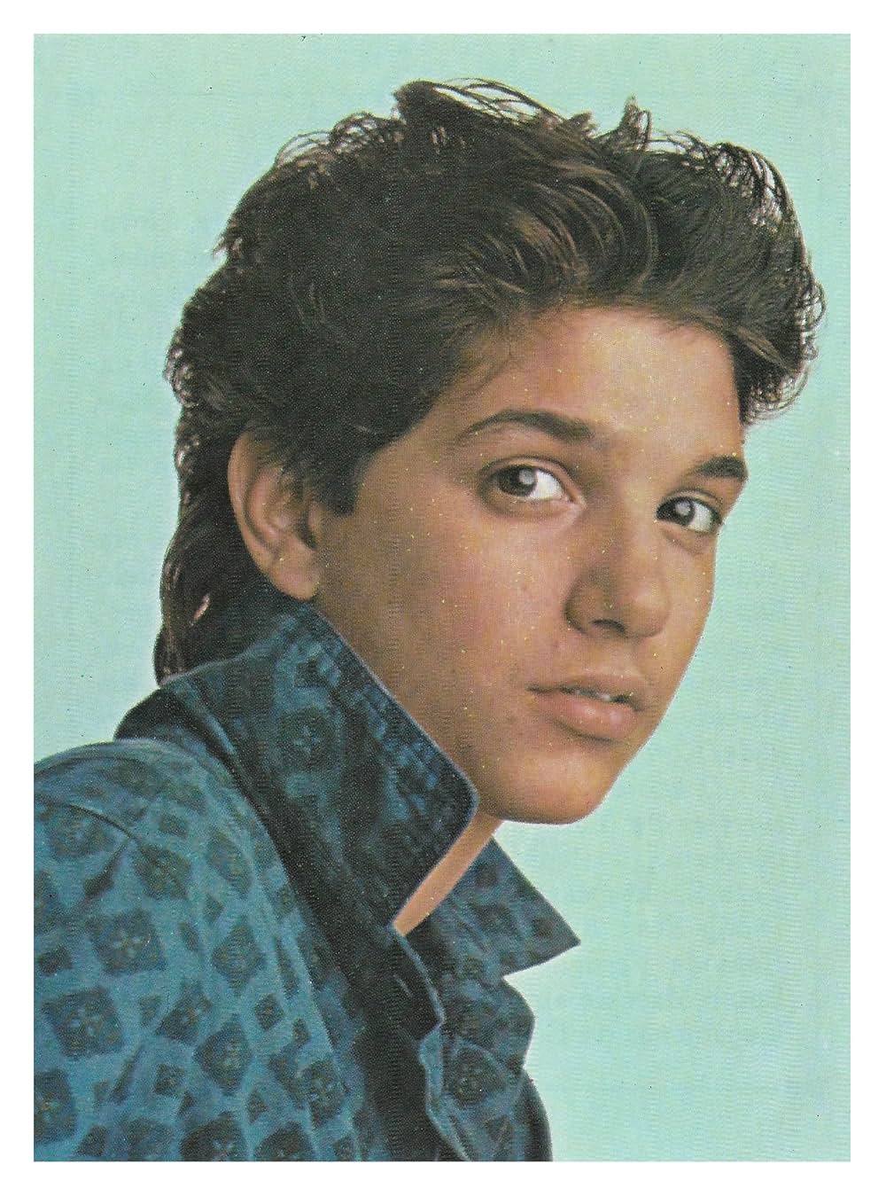 ベスト・キッド2の画像