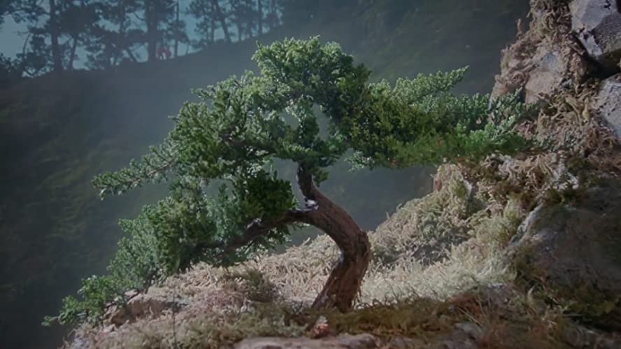 ベスト・キッド3 最後の挑戦の画像