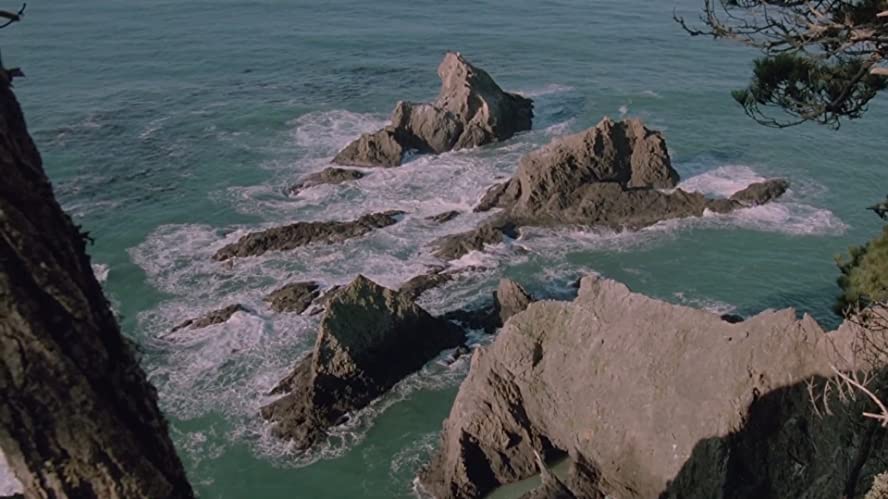 ベスト・キッド3 最後の挑戦の画像