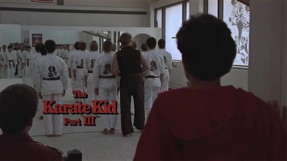 「ベスト・キッド3 最後の挑戦」ラルフ・マッチオ & マーティン・コーブの画像