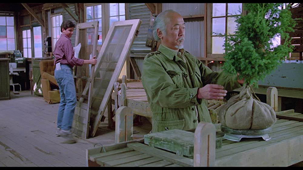 「ベスト・キッド3 最後の挑戦」ラルフ・マッチオ & 森田则之の画像