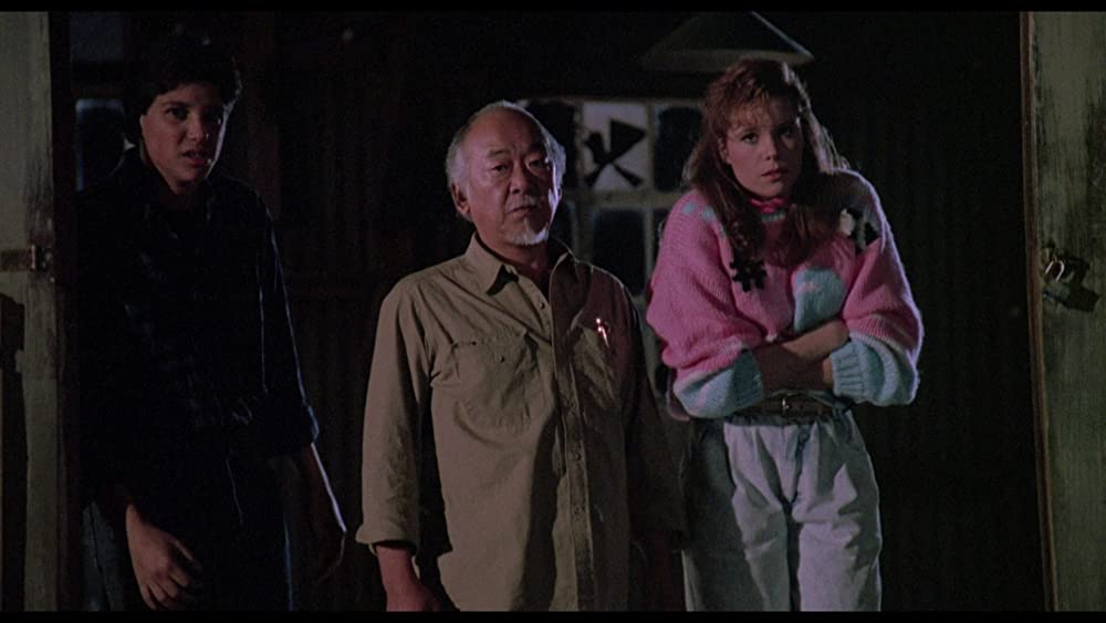 ベスト・キッド3 最後の挑戦の画像