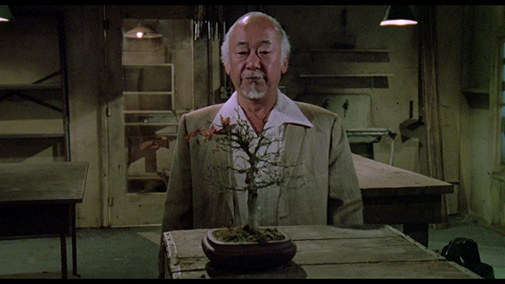 ベスト・キッド3 最後の挑戦の画像